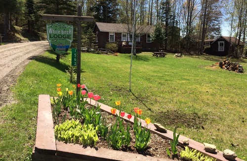 Charleston Hütte | TWIN Cottage - Cozy cottage with generous deck and beautiful lake view.