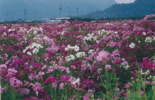 Togura Kamiyamada Onsen Haus | Twin room with a view Semidouble bed with a wid /Chikuma Nagano