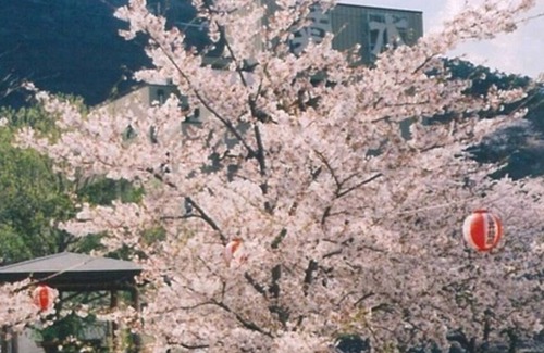 Togura Kamiyamada Onsen Haus | Twin room with a view Semidouble bed with a wid /Chikuma Nagano