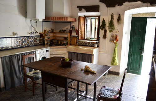 Estremoz Sonstige | Typical farm in cork and holm oak woods