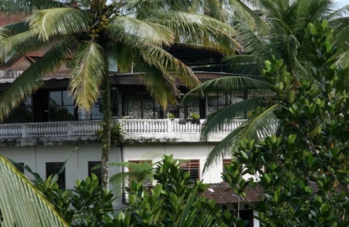 Sebatu Haus | Ubud Rice Terrace - Blick auf den Dschungel / Regenwald