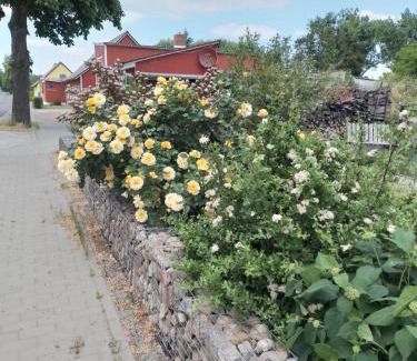 Passow Wohnung | Uckermark "Ferienwohnung Sommerfugl "
