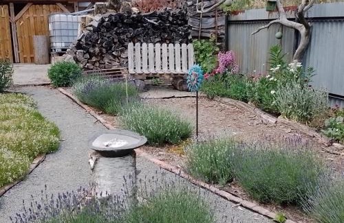 Passow Wohnung | Uckermark "Ferienwohnung Sommerfugl "