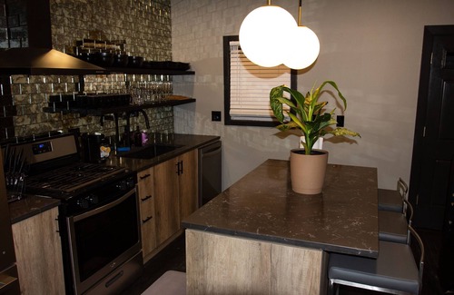 Pulaski Park Haus | Ultra Modern Wicker Park Pad w/ HUGE Outdoor Space