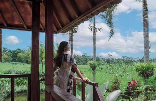 Taro Villa | Umadesa Villa Tegallalang