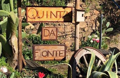 Figueiro dos Vinhos Sonstige | Unique Tiny House with Natural Building Techniques