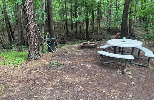 Star Tannery Wohnmobilvermietung | Unplug,Unwind, and Relax in Rustic Comfort—Mountain Air, Starry Nights