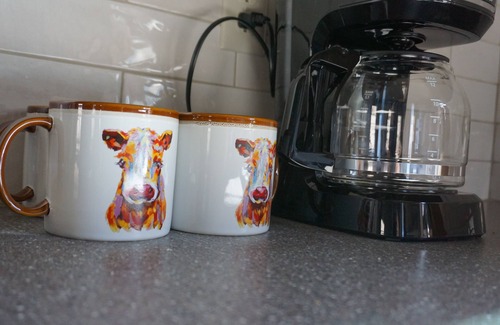 Glacier Country Kabine | Upscale cabin, 10000 acre cattle ranch. Views, abundant wildlife & hiking.