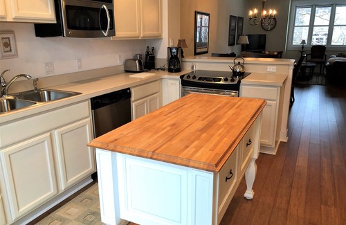 Traverse City Eigentumswohnung | Gehobene Eigentumswohnung im Stadtzentrum gelegen