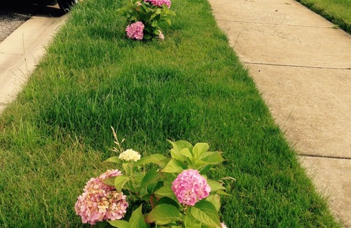 Portage Haus | Urban Living, in der Nähe von Einkaufszentren, Strand, zwischen Chicago und Michigan, ruhig