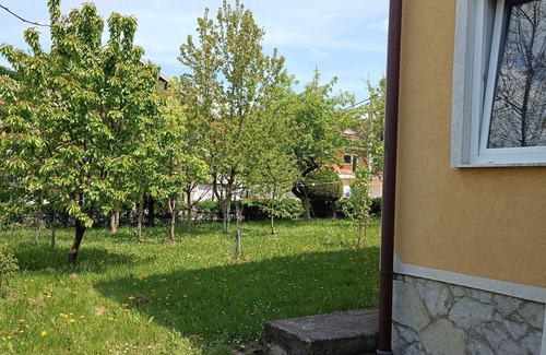 Mali Radic Wohnung | Urban Oasis in Cazin