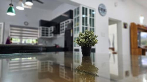 Udumbanchola Wohnung | Uthuppan's first floor 2brm