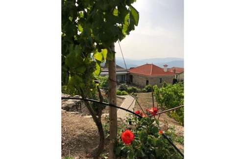 Resende Haus | Vald'arêgos - Douro Bungalow "Cortiço"