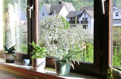 Kurrenberg Wohnung | Ferienwohnung in Burgen /Untermosel, Gästeticket kostenlos