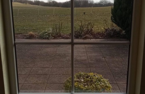 Blankensee Haus | NEU! Ferienhaus Seeblick in Blankensee