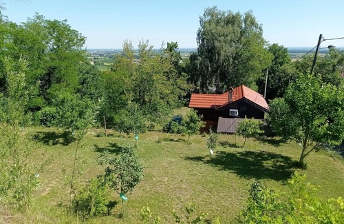 Novigrad Podravski Haus | Ferienhaus mit Pool und Sauna für ruhesuchende Familien. Haustierfreundlich!