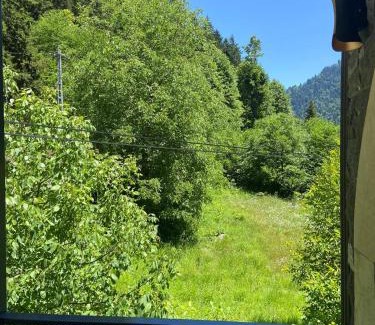 Camlihemsin Hotel | Vadi Taş Konak