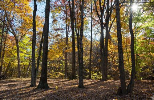 Cuyahoga Falls Sonstige | Valley Overlook