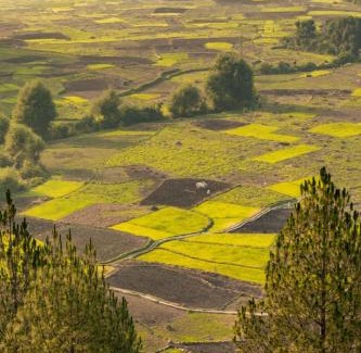 Majkhali Haus | Valley View Homestay Kausani