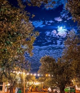 Ayvacik Sonstige | Vamos Camping