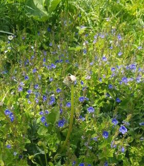 Bojnice Haus | Vceli RAJ Bojnice