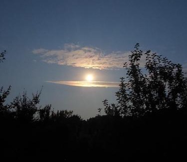 Bojnice Haus | Vceli RAJ Bojnice