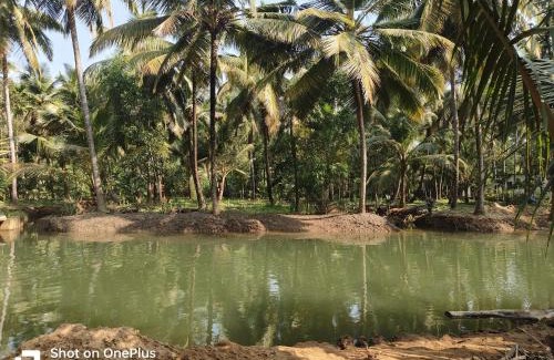 Honavar Haus | Veeru Nature Homestay Honnavara
