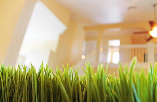 Ventura Haus | Ventura Cove Holiday Home