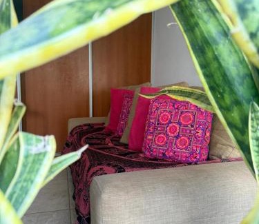 Partido de Ramallo Wohnung | Viejo Stud