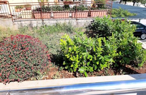 Drace Wohnung | View of the Pelješki bridge