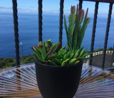 Lajes do Pico Haus | Vigia dos Machados
