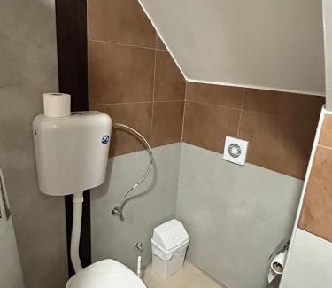 Pluzine Haus | Vignjišta