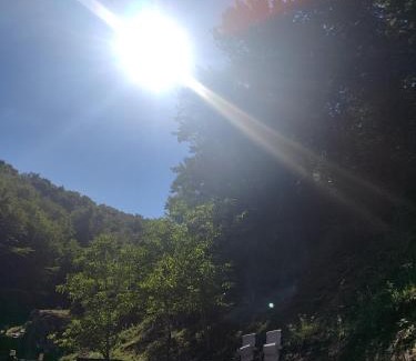 Bosanski Petrovac Sonstige | Vikednica ZEA