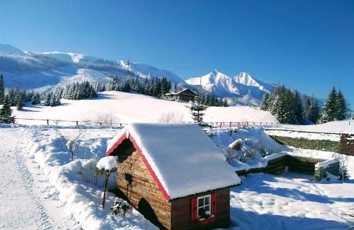 Zdiar Haus | Vila Panorama