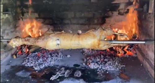 Veliki Grđevac Villa | Vila San