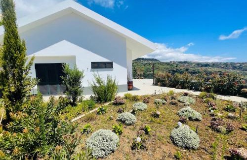 Ponta do Sol Haus | Villa Camacho xxvii