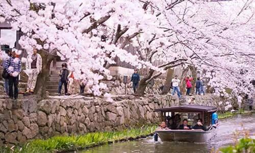 Omihachiman Haus | Villa Hachiman-gai ヴィラ八幡街