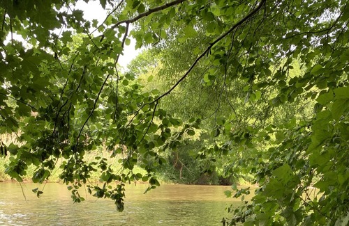 Hochstetten-Dhaun Wohnung | Villa Heckespatz - Relaxen mit Whirlpool am Waldrand