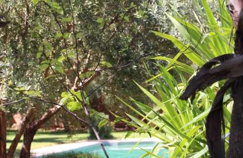 Marrakech Villa | Villa in a haven of greenery 20 minutes from Marrakech