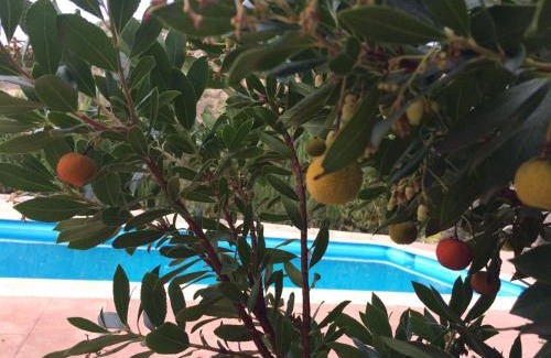 Priego de Cordoba Villa | Villa La Quinta