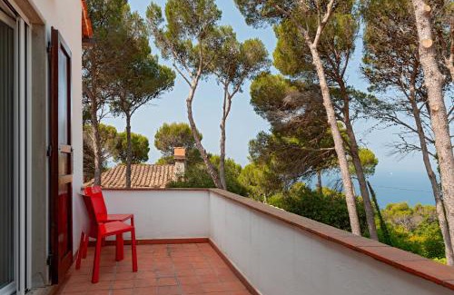 Rosignano Marittimo Villa | Villa Magnolie