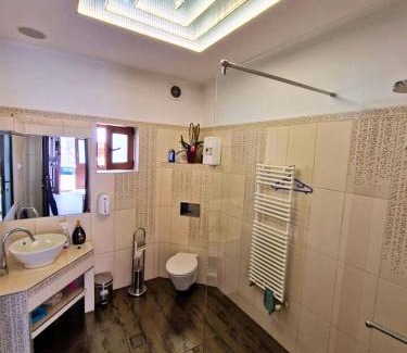 Odorheiu Secuiesc Villa | Villa Velora - luxury & wellness