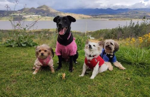 Guatavita Villa | Villa Vista