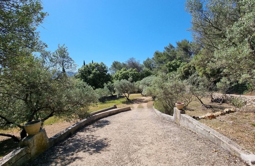 Pignans Haus | Villa with pool in the heart of olive groves