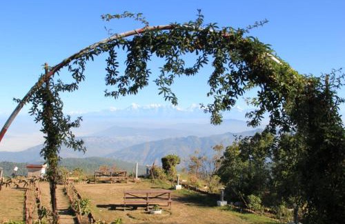 Mukteshwar Haus | Vineet Homestay