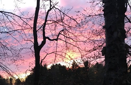 Phillips Hütte | Vintage Lakeside Cottage