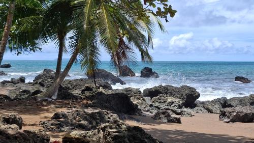 Drake Bay Hotel | Vista Alta Ecolodge Bahia Drake