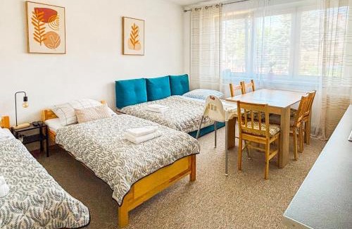 Liptovsky Mikulas Wohnung | ViVi Apartments