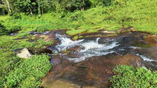 Valparai Haus | VLP home stay