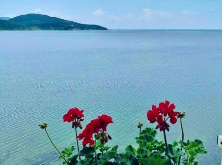 Kavala Haus | Votsalo Apartment